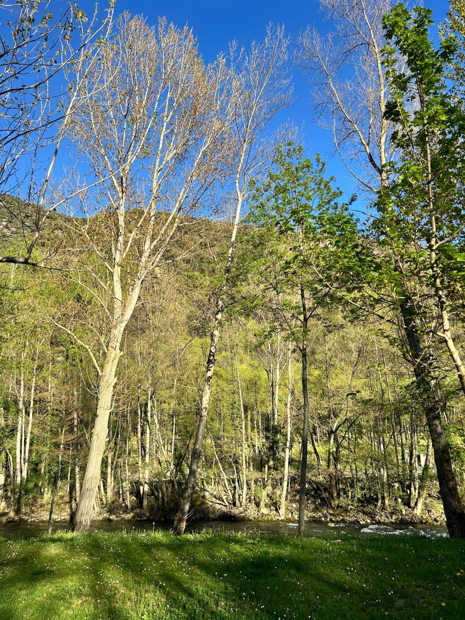 Отель Camping Noguera Pallaresa Сорт Экстерьер фото